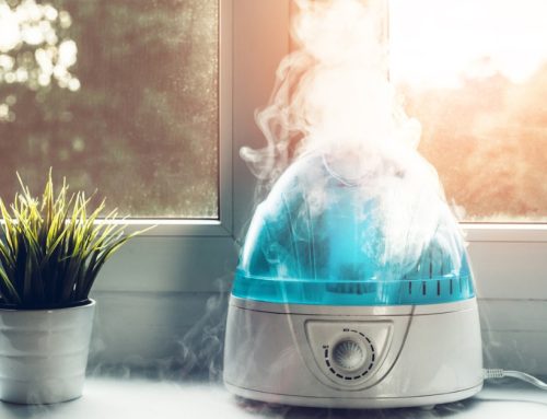 Why You Need an Air Purifier in Your Home