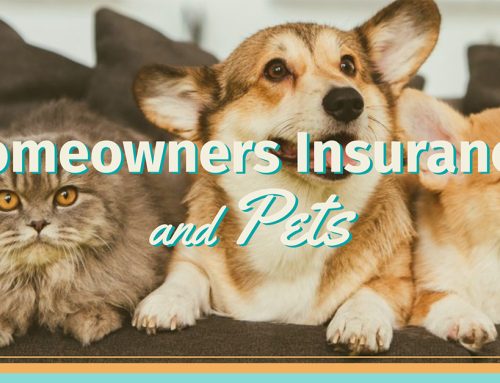 Homeowners Insurance and Pets